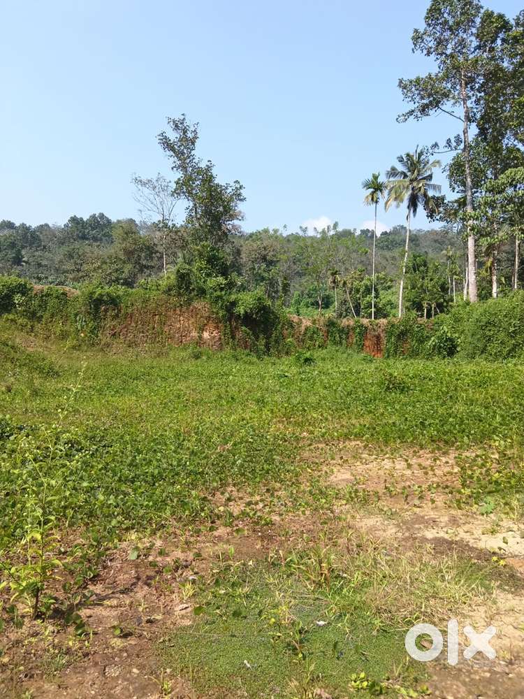 Residential plot for sale