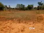 5 Cent residential plot fot sale in usilampatti