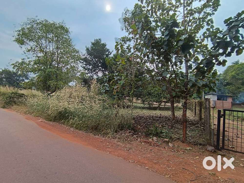 10 cent plot for sale in mg kavu near Govt. Medical college