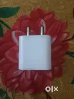 Only adaptor is available now