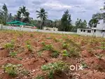 Beautiful Plot for Sale- Prime location