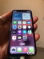 Fast selling hai