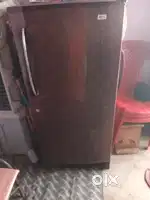 2 year old