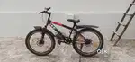 Front and rear disc brake