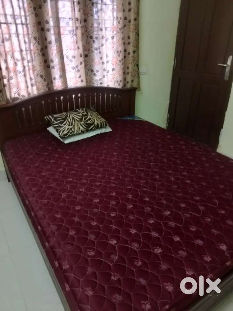 2 BHK SEMIFURNISHED APARTMENT FAMILY PALARIVATTOM nr ASIANET-EMC