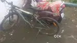Electric cycle and gear cycle
