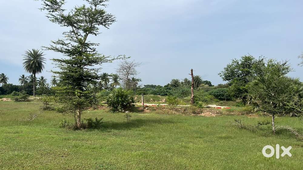Near to dhanvantri temple dtcp approved plot for sale