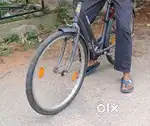 Ladies Cycle