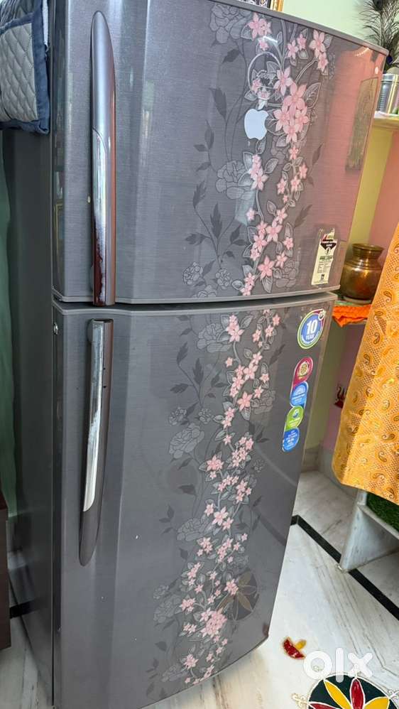 Fridge godrej eon double door  238 liter