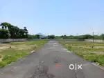 LOW BUDGET PLOT IN TIRUVANNAMALAI
