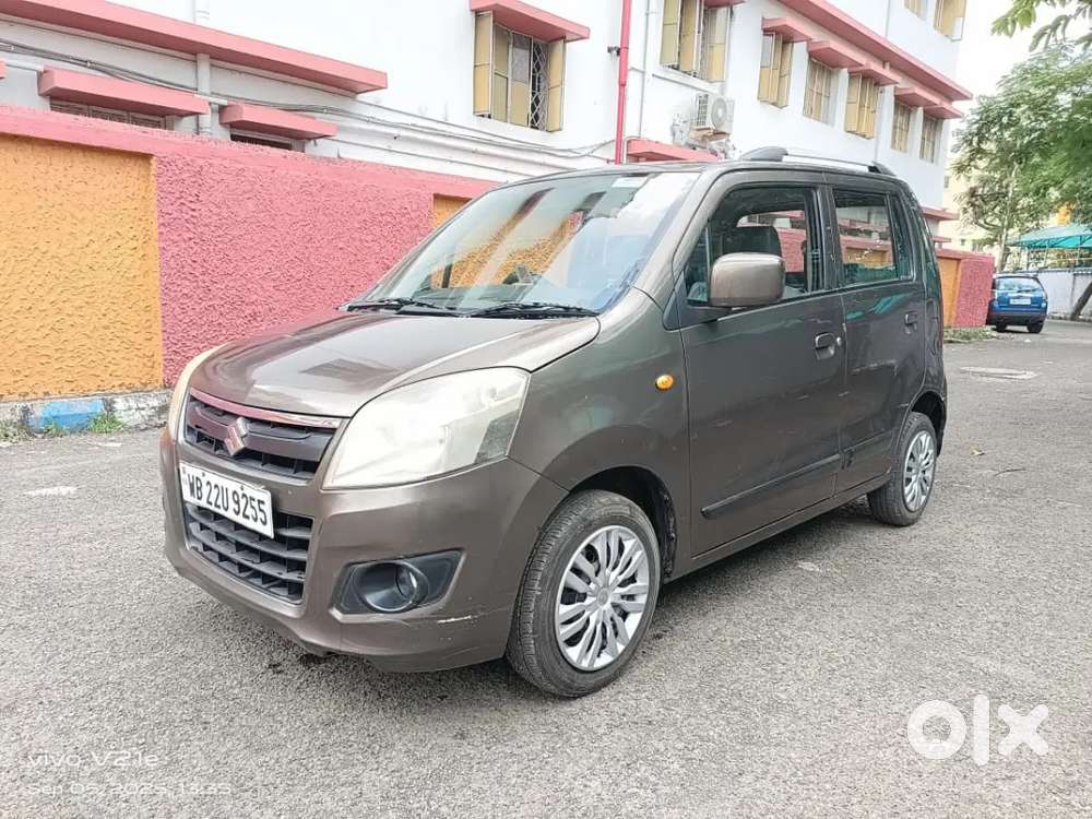 Maruti Suzuki Wagon R Flex Fuel 2013