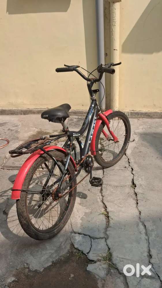 Cool kids bicycle
