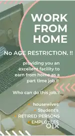 Work from home (no age restriction)