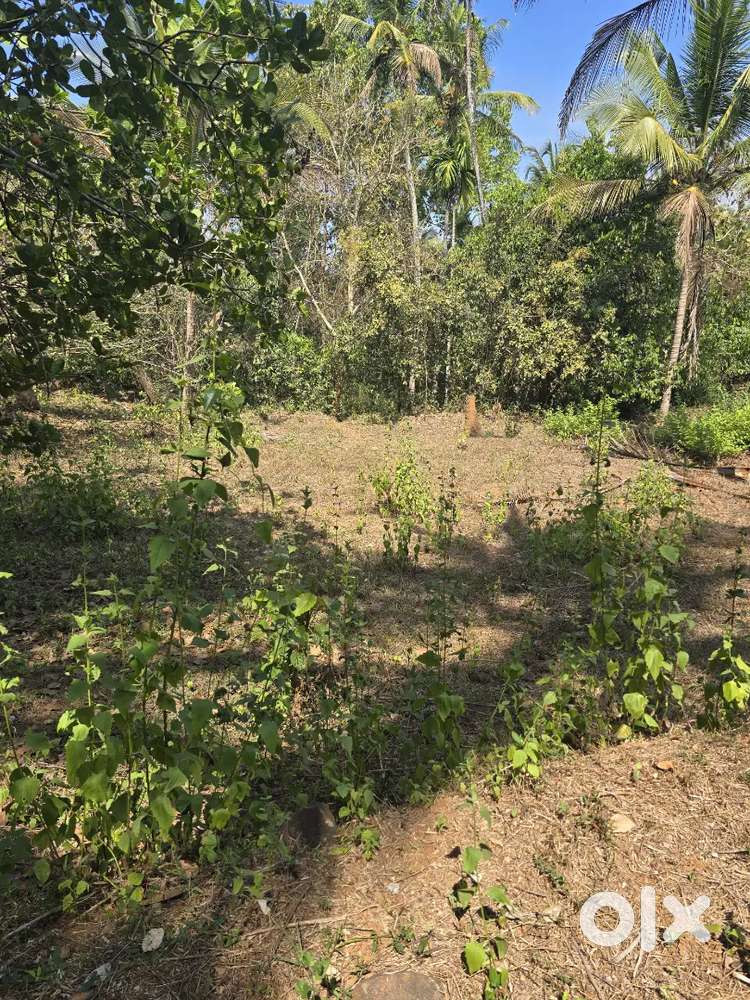 75cent land for farming