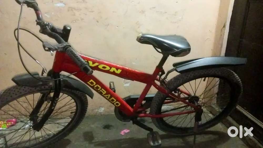 Avon cycle