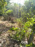 Near mannanur railway station