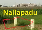 108 sqyard Nallapadu plot sale