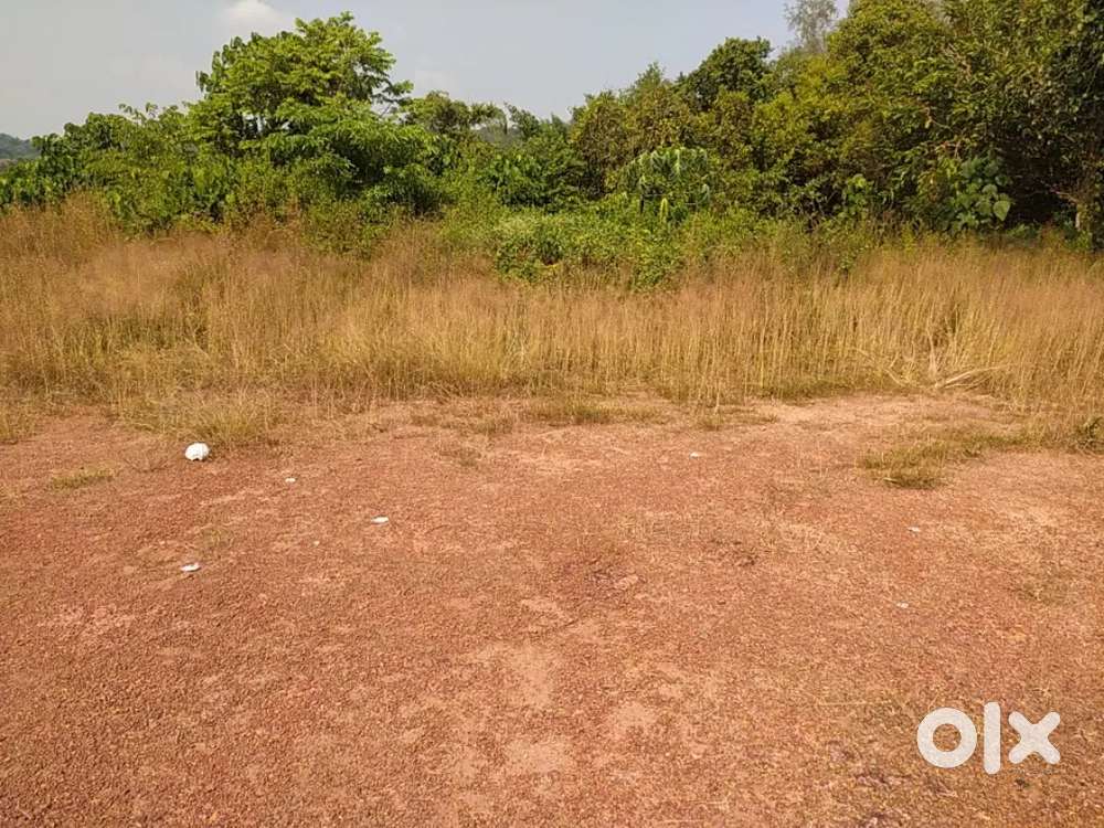 63 cents commercial N H touch Padil 25 lac neg per cent