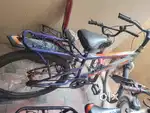 Sriker cycle for age 10 to 16 years