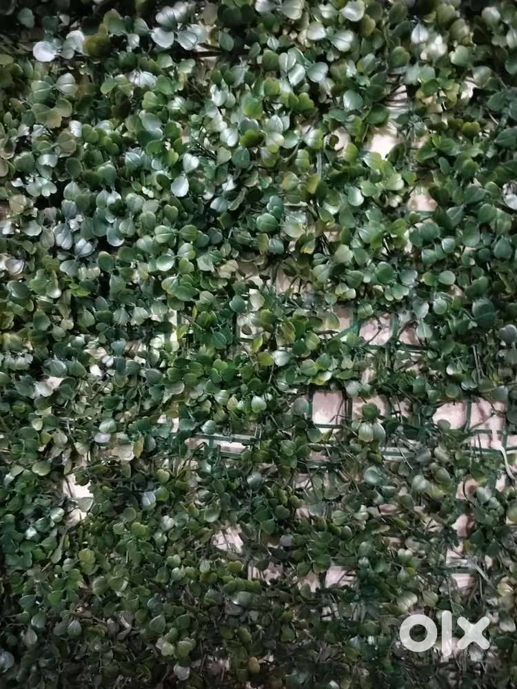 Mandi helpers wanted