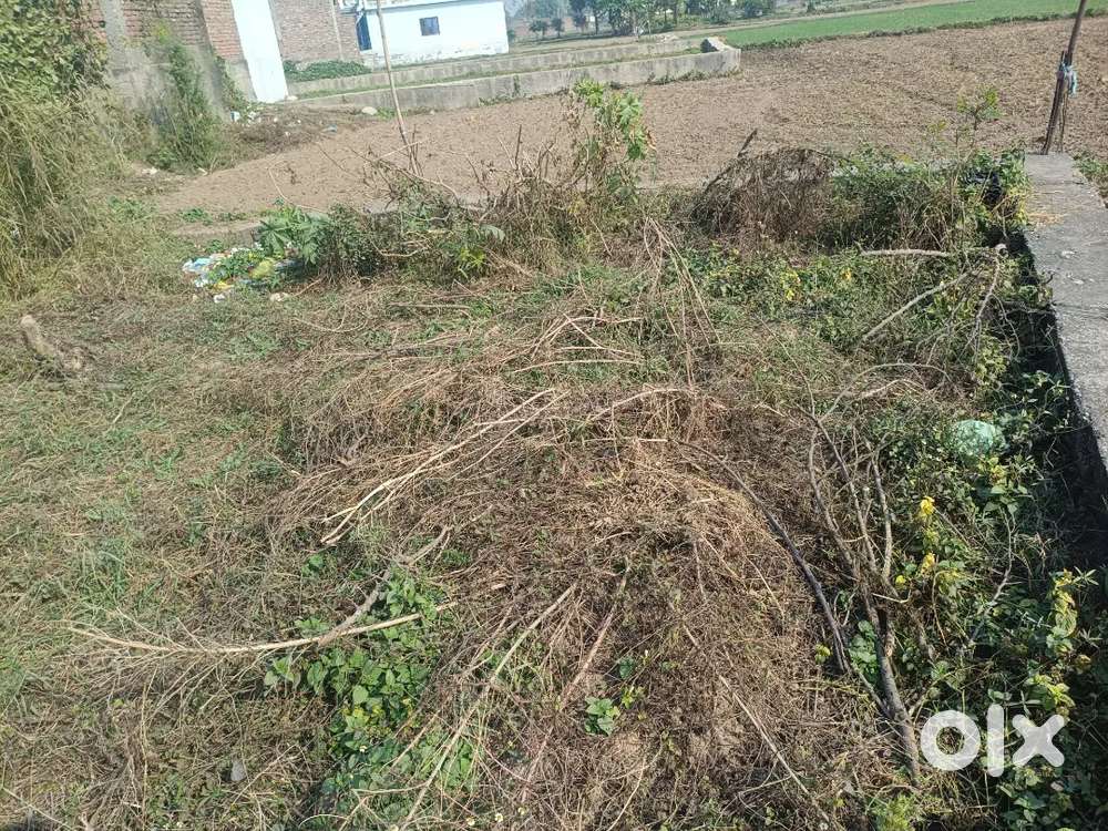 Phallian mandal kirpalpur ma plot ha main road per