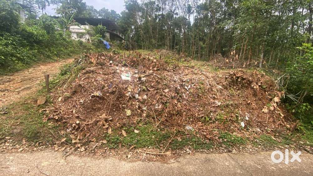 ഓമല്ലൂർ പന്നിയാലി ക്ഷേത്രത്തിന് സമീപം 12 സെൻ്റ് വസ്തു വിൽപ്പനക്ക്