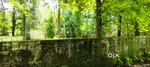 Land- 15.5 cent for sale in kuttoor, kottekkad  main road.Thrissur.