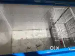 Ice cream fridge