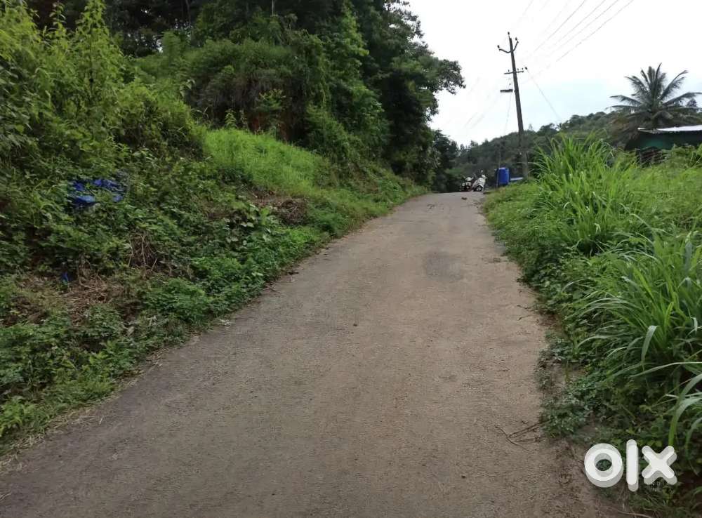 Sulthan Bathery 25 cent Plot for sale