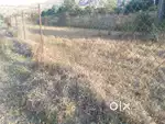 16000 sqft open plot for sale near ICMR college Kanifnath road Wadki