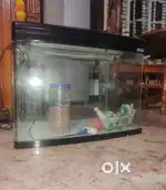 Super baby fish tank