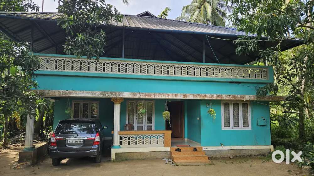 13 scent plot and house for sale roadside