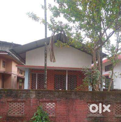 Rent house
