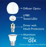 Led light 100 ma 2 light