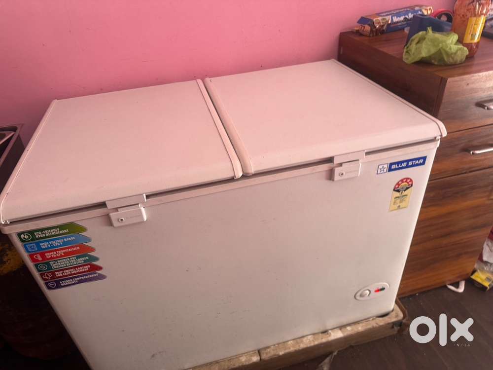 Blue Star Deep Freezer – 5 Months Old – Excellent Condition!