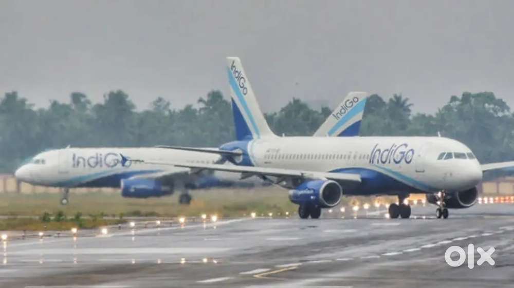 Cabin Crew/ Airport Ground Staff Jobs in Indigo limited vecancy Requi