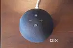 Amazon Alexa