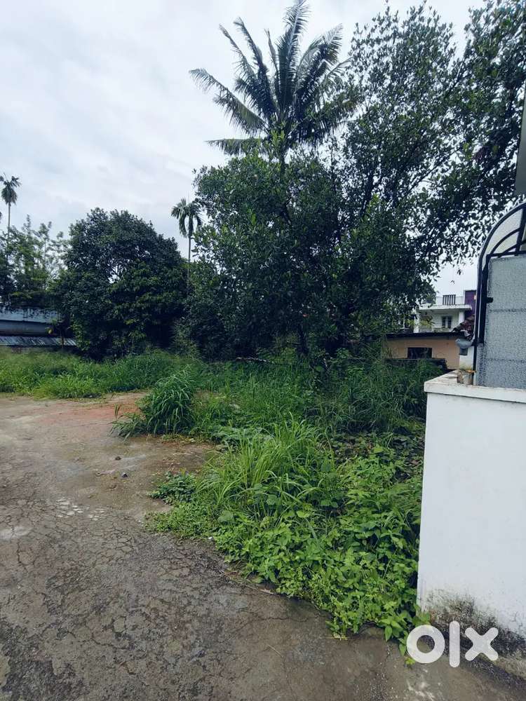 3 CENT PLOT FOR SALE @ MANJUMEL
