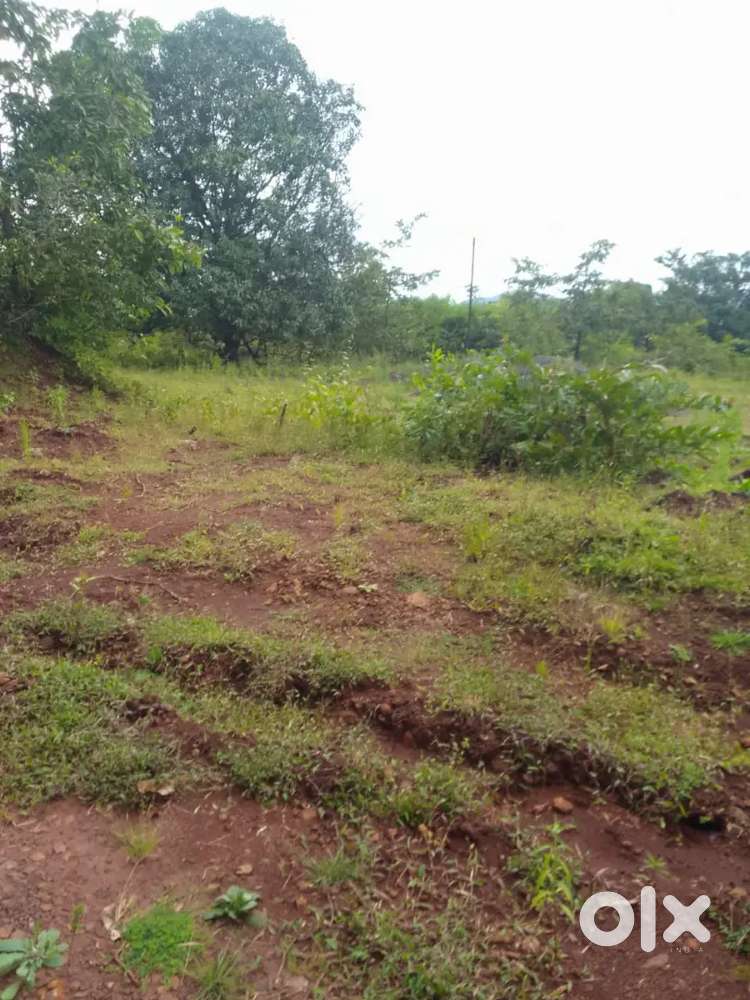 Agriculture land for sale konkan