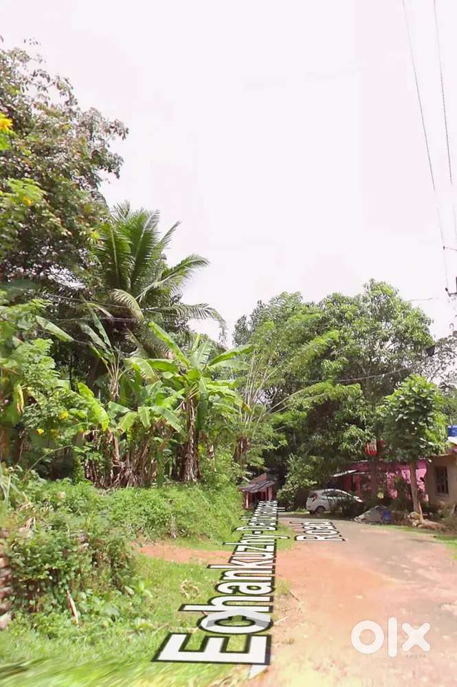 15 cent plot for sale road side near vilakkupara