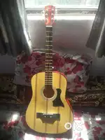 Acoustic Guitar
