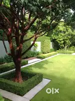 Garden kam ke liye boys-girls ke liye job available hai, freshers also