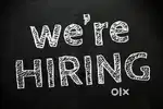 Sales executive