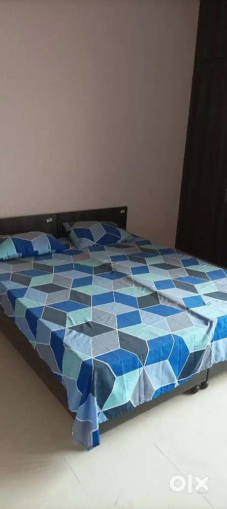 Boys PG sector 11 Pratap Nagar 6000 se start shuddh shakahari bhojan