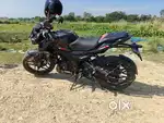 Punsar N160