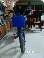 Used Like New kids Bicycle