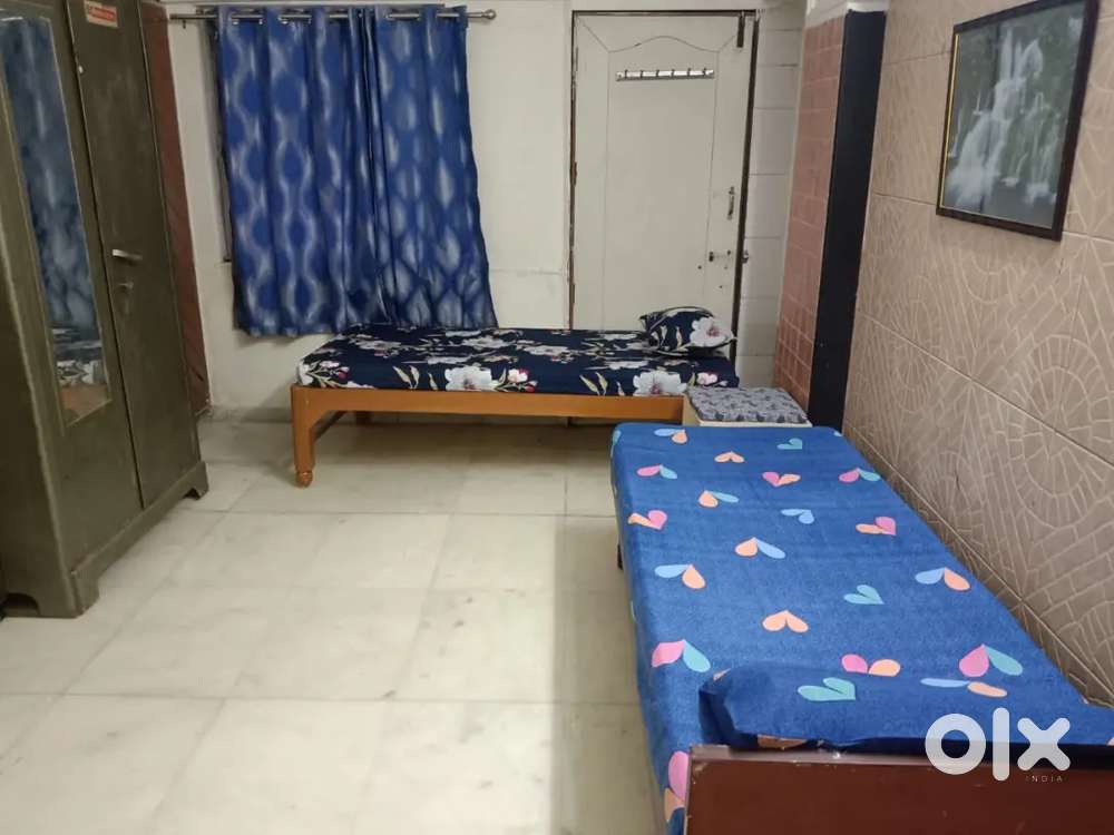 Boys pg bear new vip road