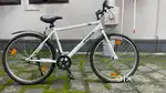 For Sale: Gently Used Bicycle