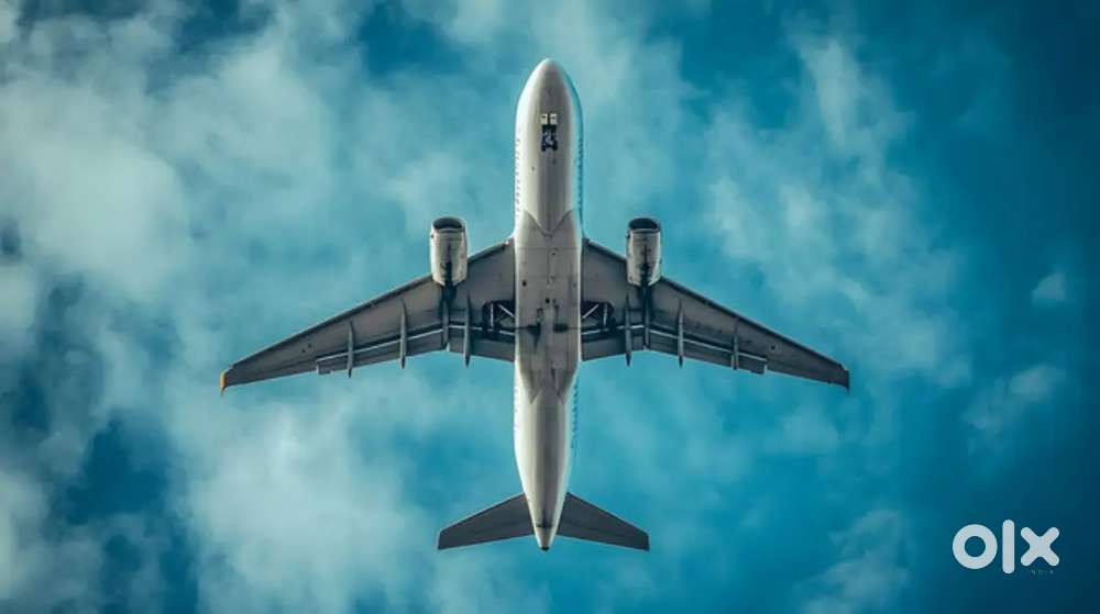 Urgent hiring for indigo airlines apply fast