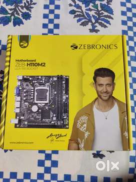 Zebronics Motherboard H110M2